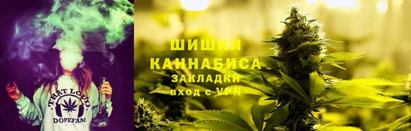 ГАЛЛЮЦИНОГЕННЫЕ ГРИБЫ Алексин