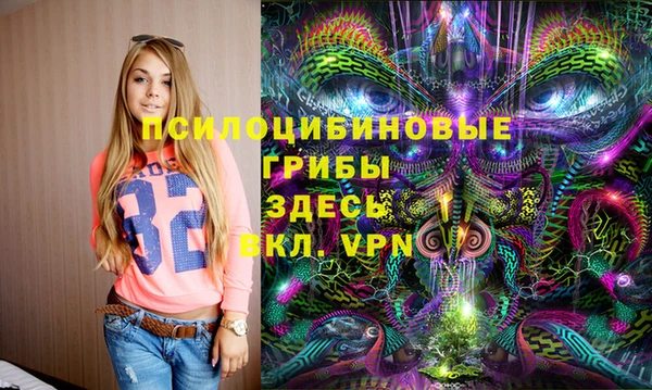 Альфа ПВП Алзамай