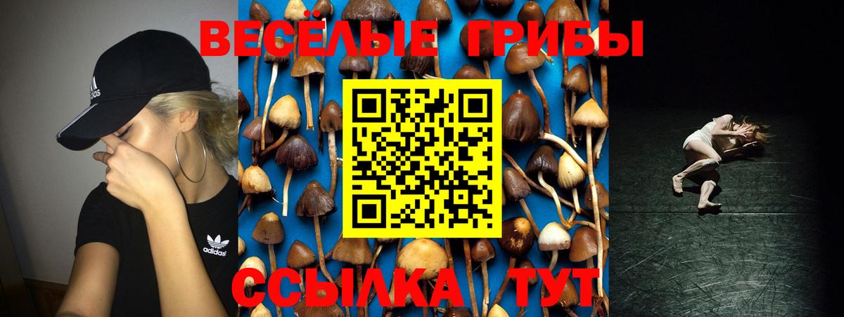 Сунжа  наркота  Вход с VPN  Псилоцибиновые грибы Psilocybine cubensis  Галлюциногенные грибы GOLDEN TEACHER 