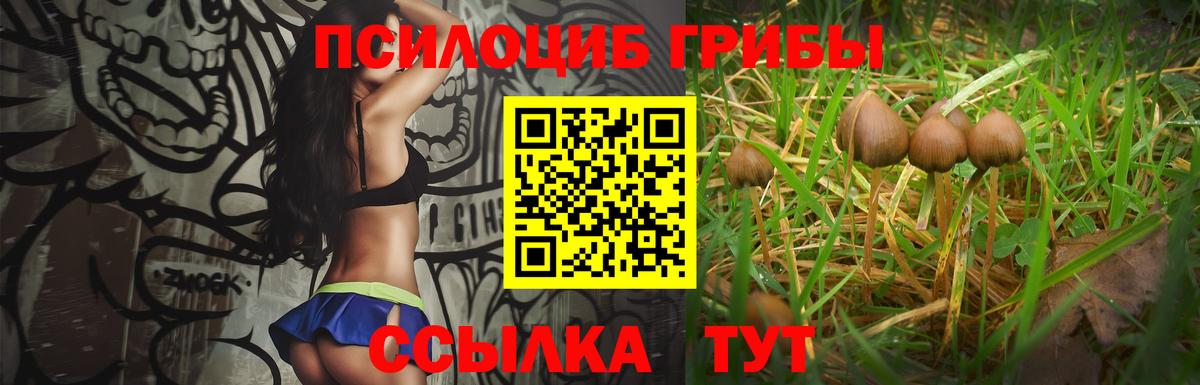 Галлюциногенные грибы Magic Shrooms Сунжа